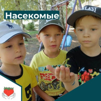 Юные исследователи мира Юные исследователи мира.
